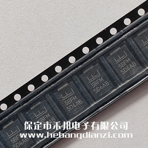 �NƬTVS�� 5.0SMDJϵ��